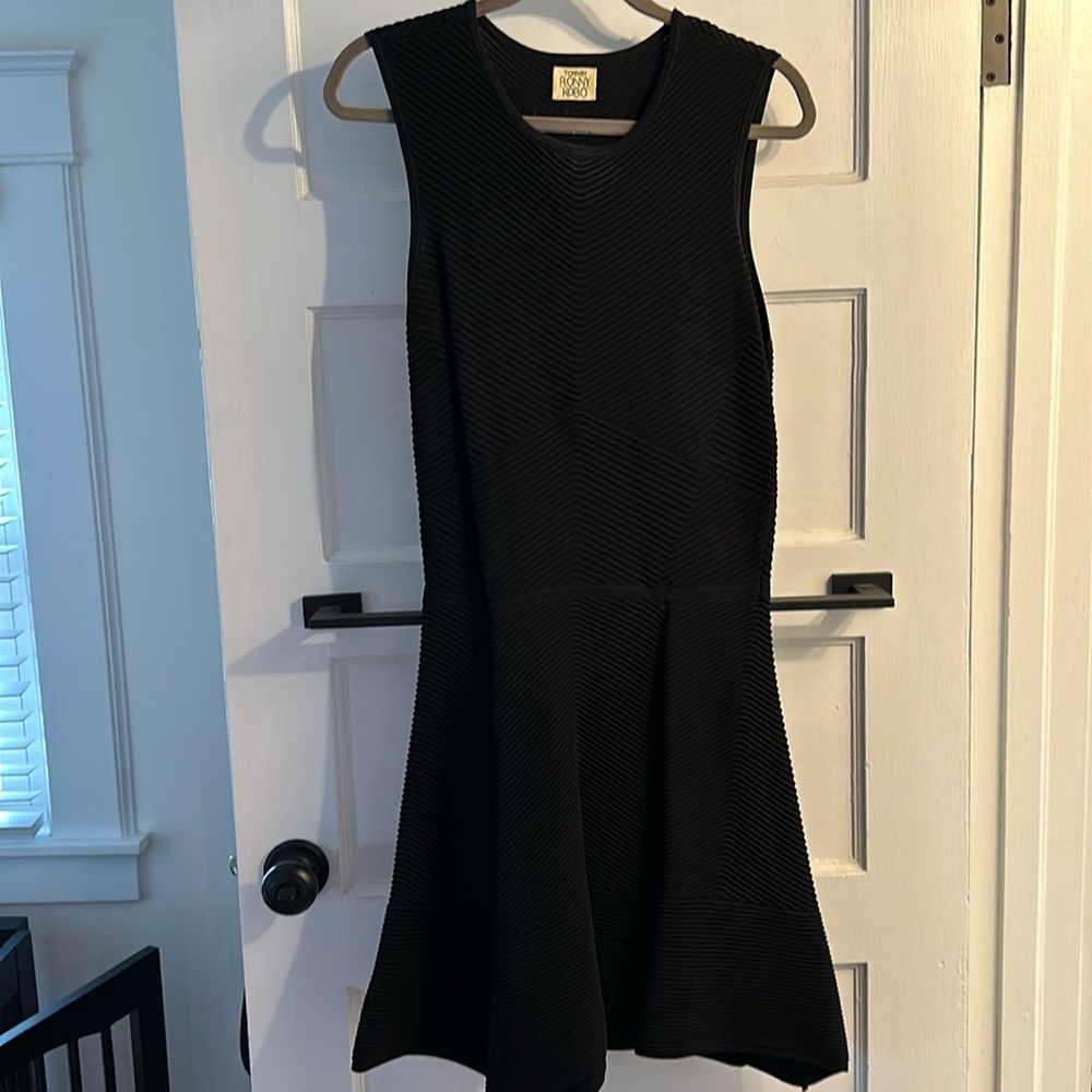 Torn by Ronny Kobo Dress